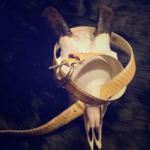 Vintage Cream Snakeskin Belt ~ Saddlebred ~ 32” M